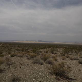 Desert Horizon
