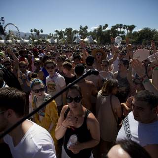Energized Crowd at Coachella 2012