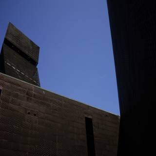 The Towering Icon: de Young Museum