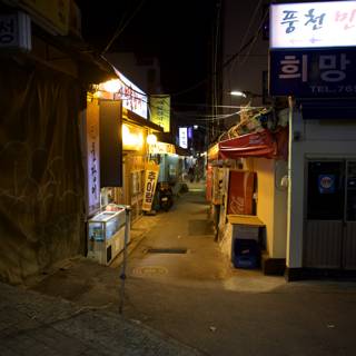 Korea Nights: An Urban Tale