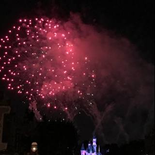 Enchanting Disney Fireworks Display