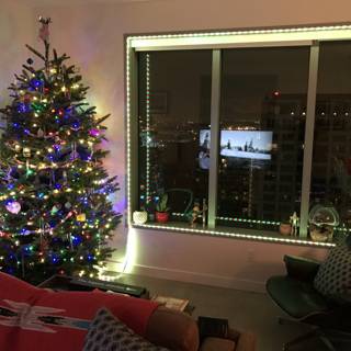 A City View and a Festive Tree