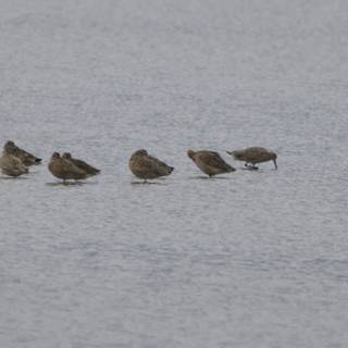 Tranquil Gathering in San Pablo Bay