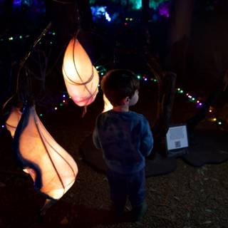 Enchanted Evening at the Garden of D'Lights