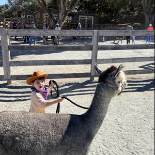 Little Cowboy Adventure