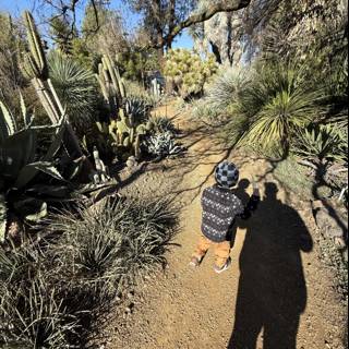 A Stroll Among the Cacti