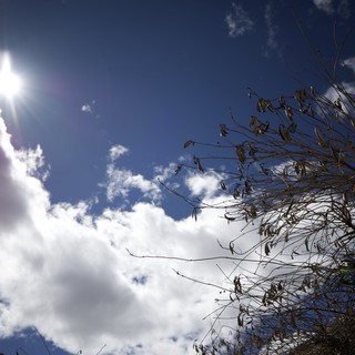 Dramatic Sunburst Through Clouds with Desert Vegetation