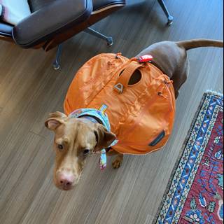 Stylish Pup Backpack