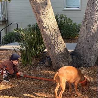 Morning Adventures in Carmel
