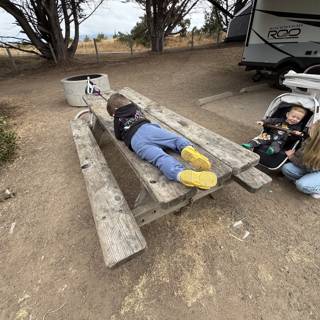 Morning Playtime in Cambria
