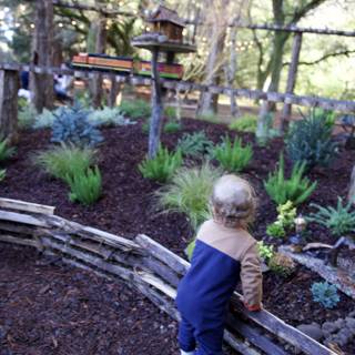 Exploring Nature's Playground