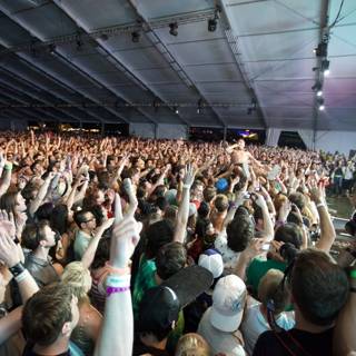 Raving Crowd at Coachella Concert