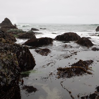 Rugged Tide Pools at Schoolhouse Beach on Overcast Day