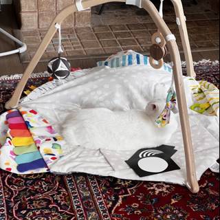 Cozy corners for babies and pets