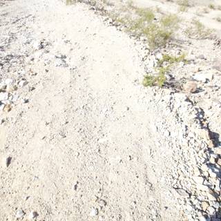 A Rocky Path Through the Desert
