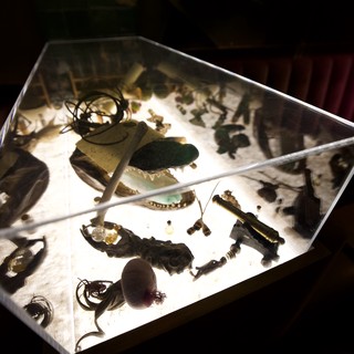 Illuminated Display Case of Archaeological Artifacts and Natural Specimens