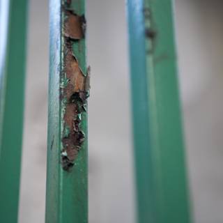 Rusty Green Fence
