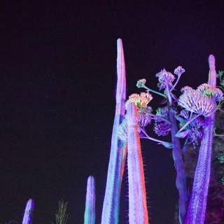 Enchanted Night Blooms