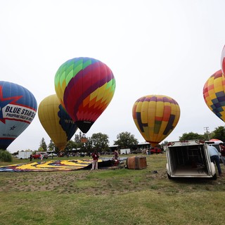 Colorful Hot Air Balloons Launch at Sonoma County Classic