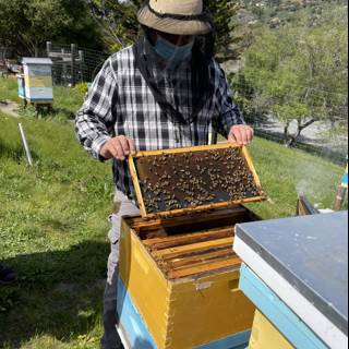 Beekeeper holding a hive