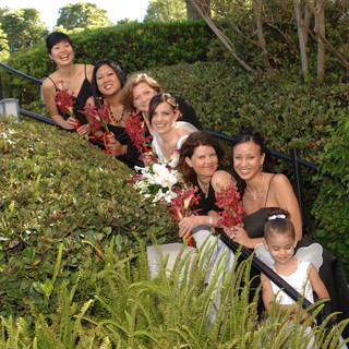 hedgerow
