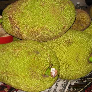 A Bountiful Harvest of Jackfruit