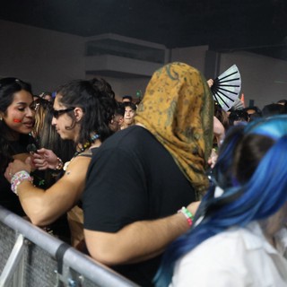 Wobbleland 2026 Crowd Energy at the Barricade