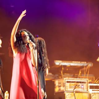 Solange Rocks the Stage at FYF Bullock 2015