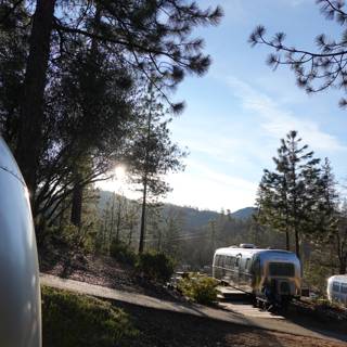 Airstreams nestled in a forest paradise
