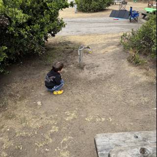 Morning Moments in Cambria Park