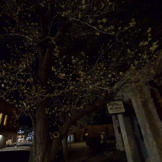 Moonlit Plaza with Historic Adobe Architecture at Night