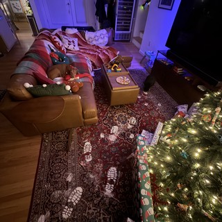 Cozy Christmas Morning Living Room with Decorated Tree