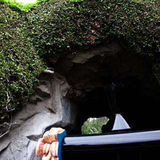 Enchanted Tunnel Adventure