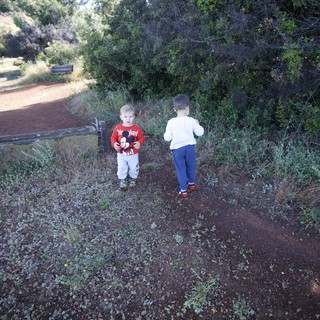 Two Young Boys Exploring a Dusty Trail Together
