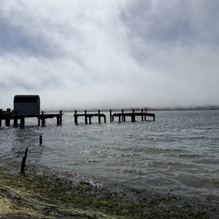 Tranquil Tides at Bodega Bay