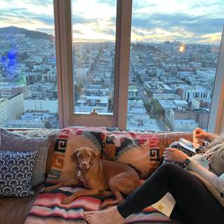 City Living with Doggy Love