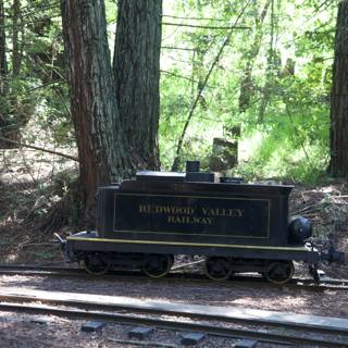 Journey Through the Greens: Redwood Valley Railway