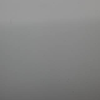 Misty Monochrome