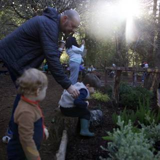 Sunlit Garden Moments