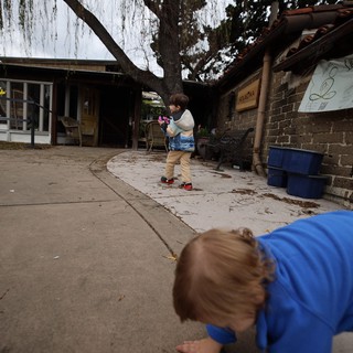 Children Playing in Courtyard Under Weeping Willow