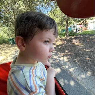 Daydreams in the Park