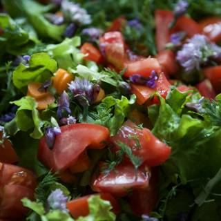 Garden Fresh Salad