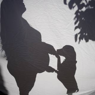 Leland's First Silhouette