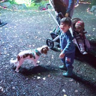 Twilight Stroll in the Garden of D'Lights