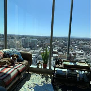 A Pooch's Perfect Spot in a Chic LA Penthouse