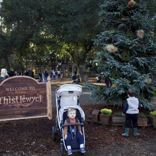 A Day of Wonder at Thistlewyck