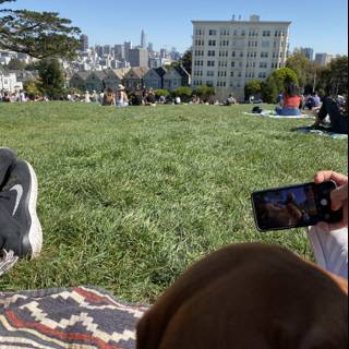 Pawsitively Picture Perfect Day at Alamo Square