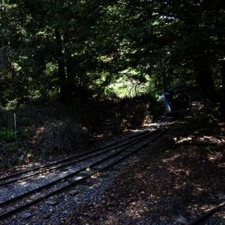 Enchanting Railway Through Tilden Park