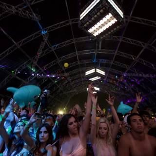 Electrified Crowd at Coachella 2013