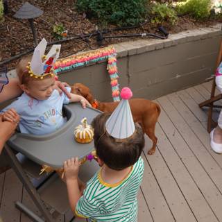 First Birthday Joy